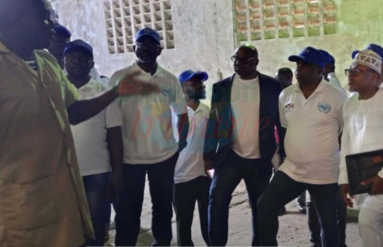 Cameroun : l&rsquo;excellence du cacao à l&rsquo;exportation renforcée par une formation clé
