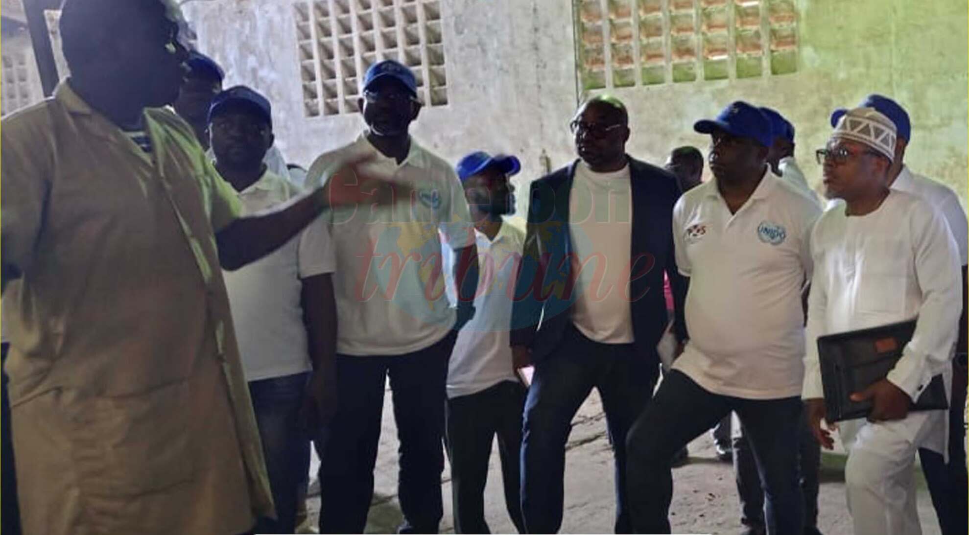 Cameroun : l&rsquo;excellence du cacao à l&rsquo;exportation renforcée par une formation clé