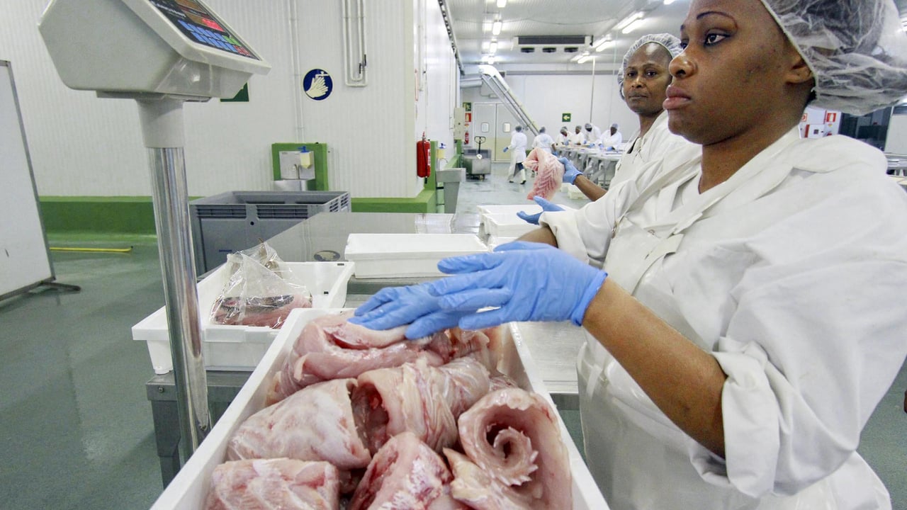 Le Gabon met fin à son accord de pêche avec l&rsquo;Union européenne