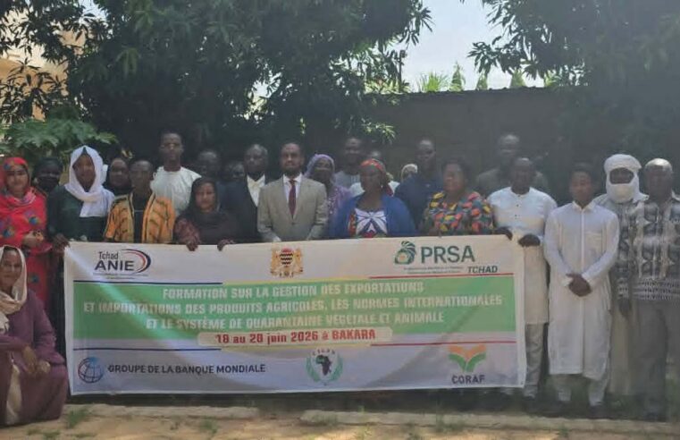 Tchad : formation clé pour booster les exportations agricoles