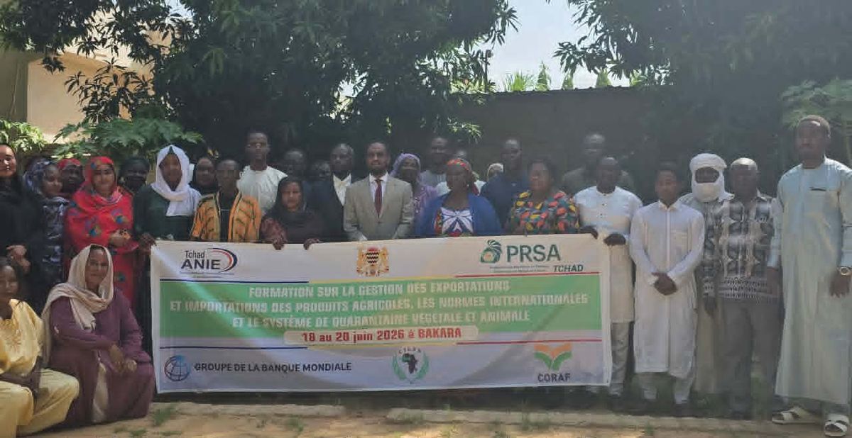 Tchad : formation clé pour booster les exportations agricoles