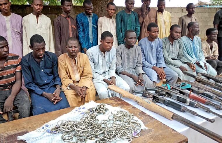 Près de 10 000 anciens membres de Boko Haram réintégrés au Nigeria