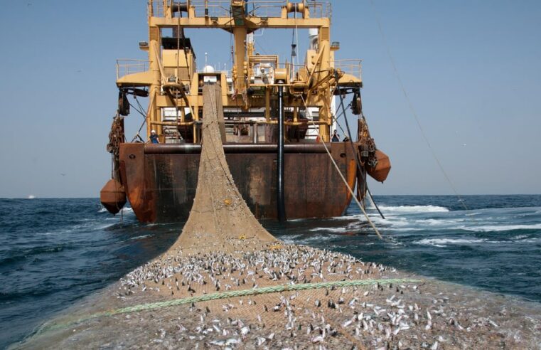 Le Gabon dénonce son accord de pêche avec l&rsquo;Union Européenne
