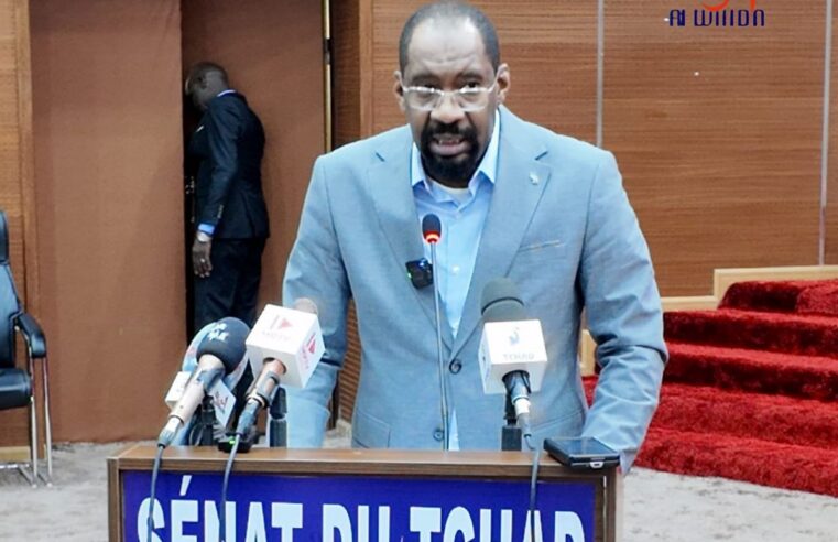 Tchad : le ministre de la sécurité s&rsquo;explique devant les sénateurs sur l&rsquo;insécurité