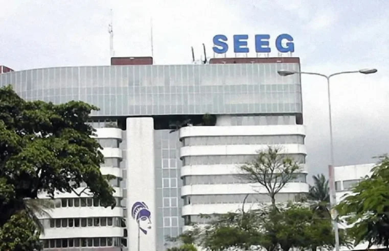 Gabon Restructures SEEG Utility to Improve Electricity and Water Services