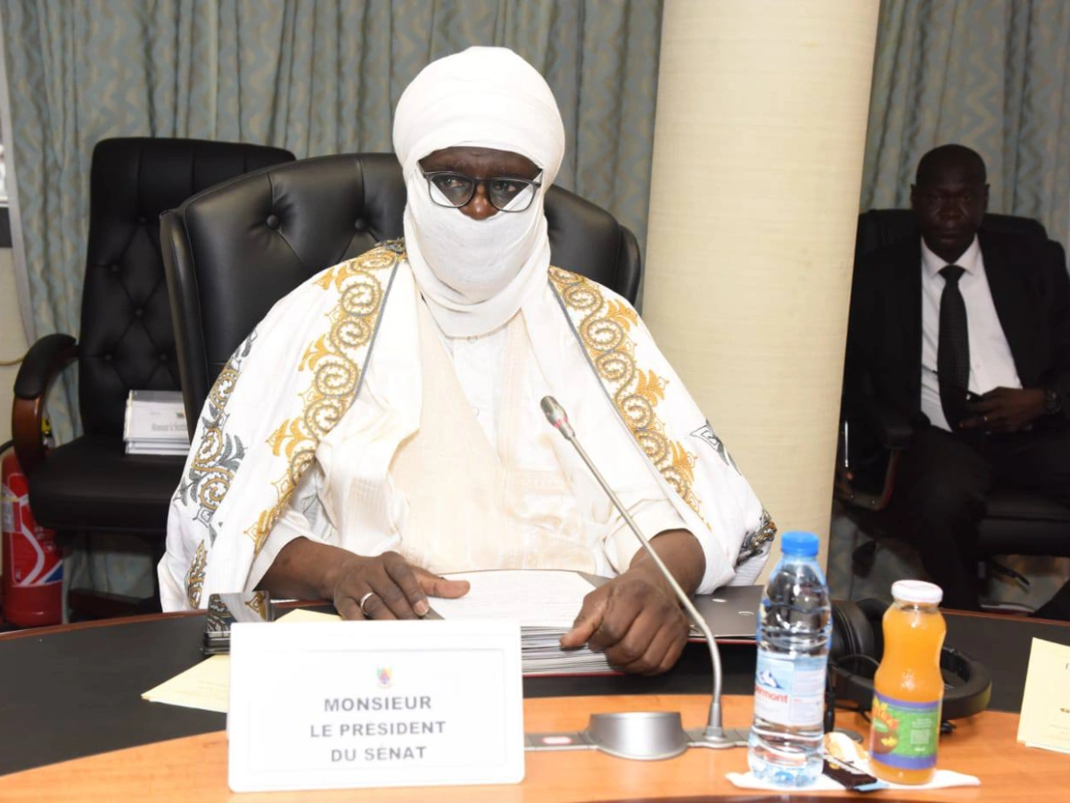 Yaoundé : le président du sénat camerounais dénonce les féminicides et violences sexuelles