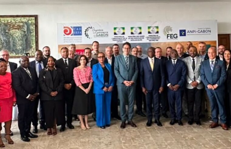 Gabon : vers une révolution industrielle grâce à ses ressources naturelles