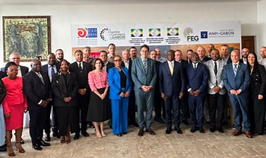 Gabon : vers une révolution industrielle grâce à ses ressources naturelles