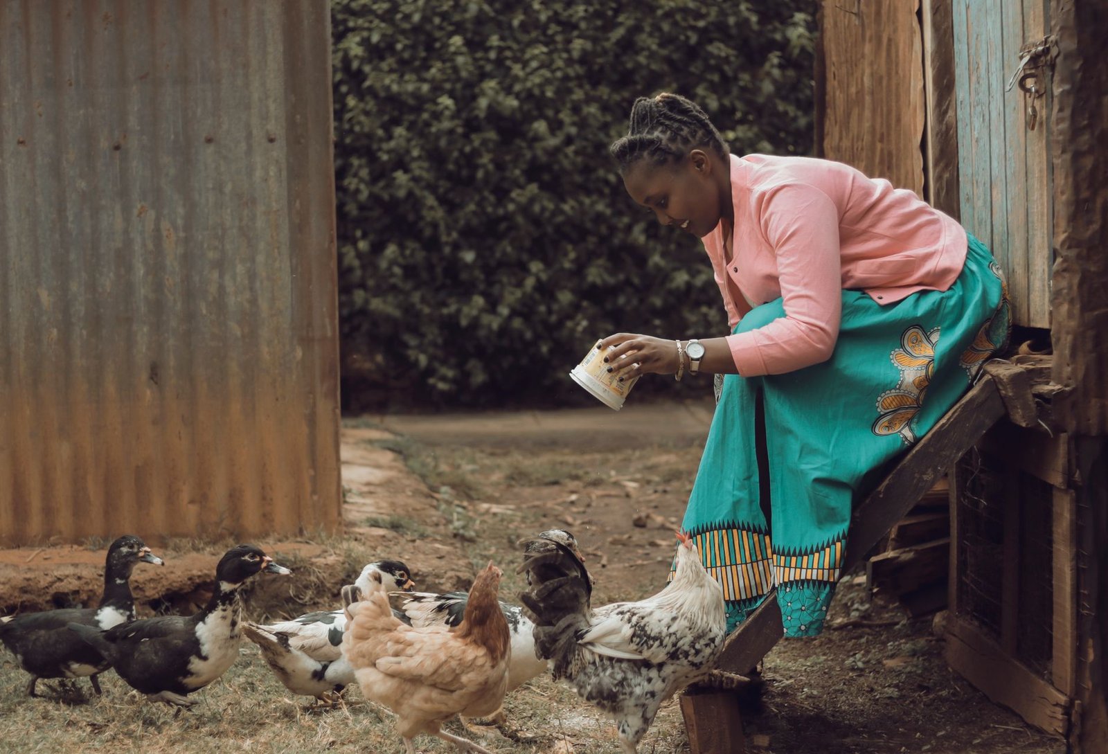 Le géant guinéen sonoCo mise sur l&rsquo;aviculture gabonaise