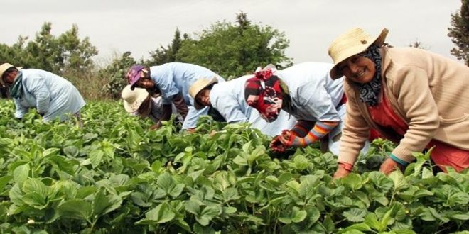 Le Maroc prévoit une accélération économique notable en 2025