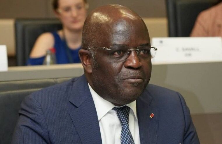 Le Gabon mise sur la transformation locale pour repenser son économie