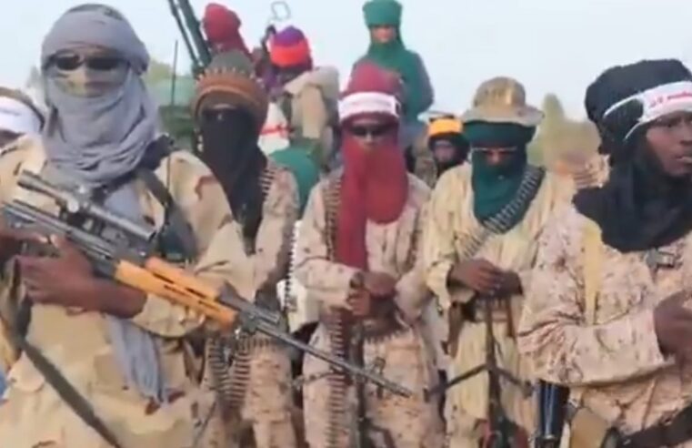Menace terroriste au Sahel : quand le Mali et le Nigeria s&rsquo;inquiètent