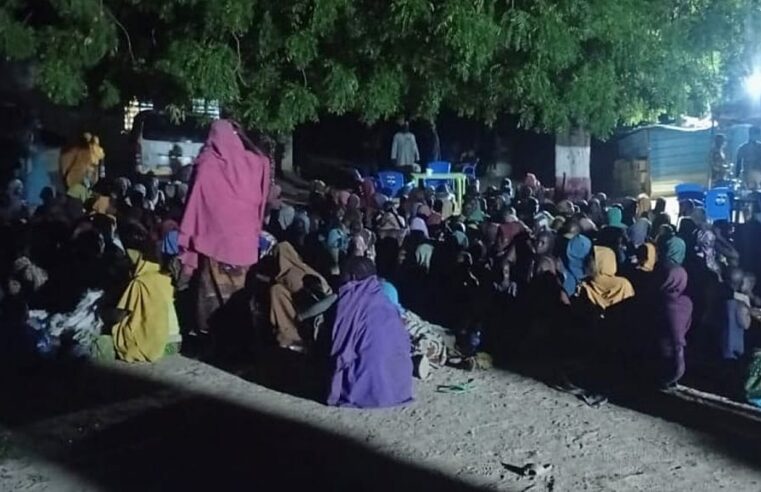 Nigéria : des centaines d&rsquo;otages libérés par Boko Haram
