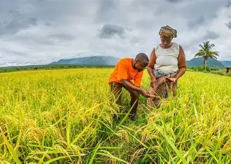 Bénin : la bid finance 12,5 milliards pour booster l’agriculture locale