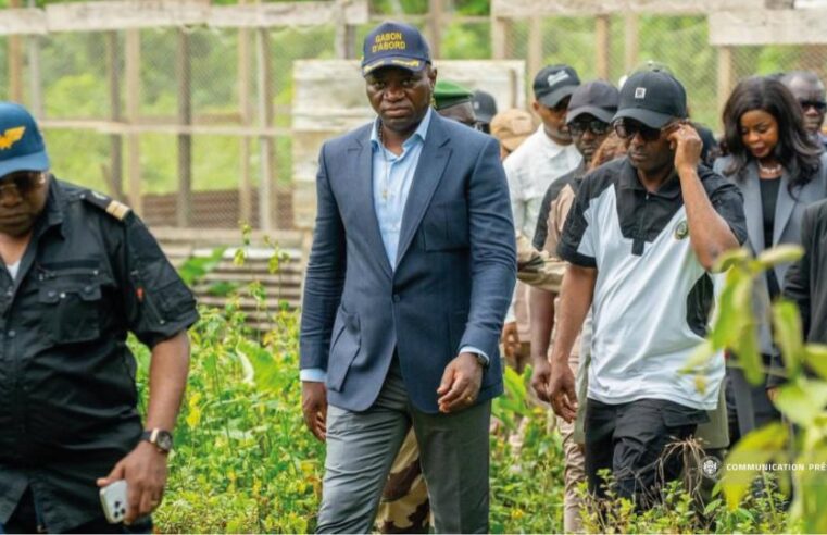 Gabon : oligui nguema déploie 25 milliards de fcfa pour l&rsquo;autosuffisance alimentaire