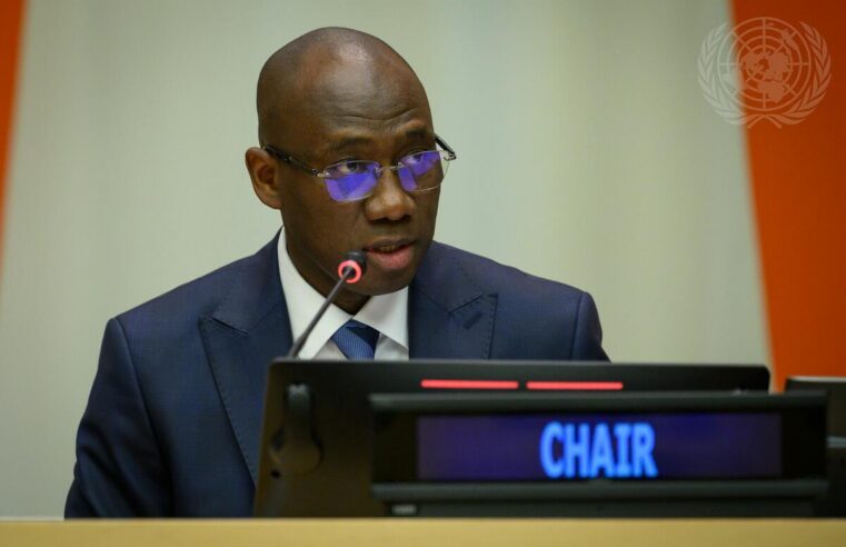 Le Sénégal à la tête de la quatrième commission de l ONU pour 2026