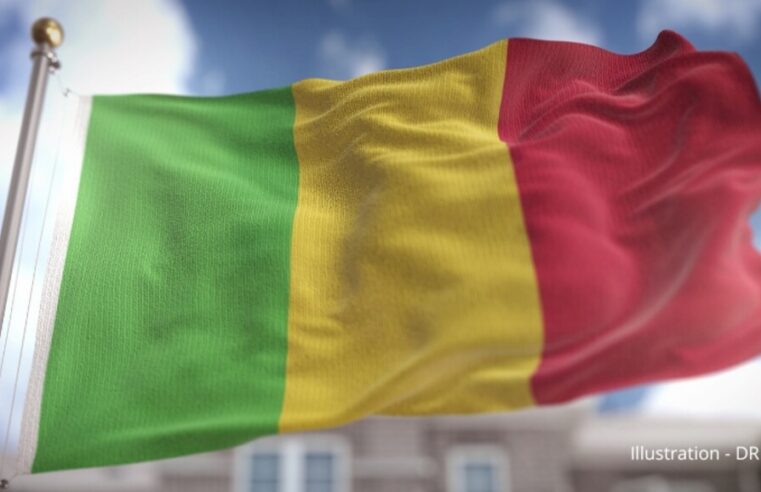 Un agent français écope de 20 ans de prison au Mali pour « atteinte à la sûreté de l&rsquo;État »
