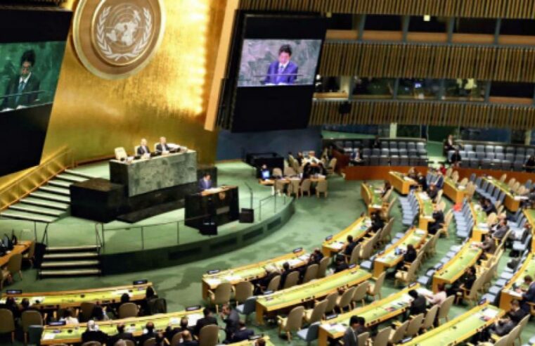 Gabon : une victoire diplomatique historique à l&rsquo;ONU