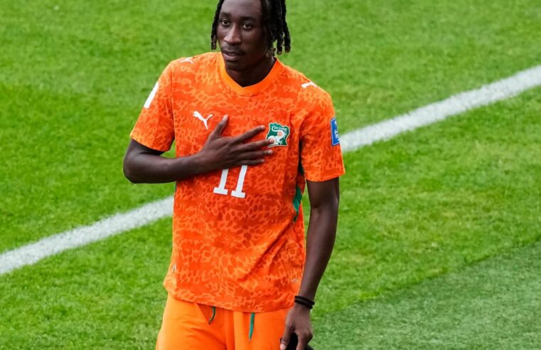 Yan Diomandé au PSG : un transfert en vue cet été ?