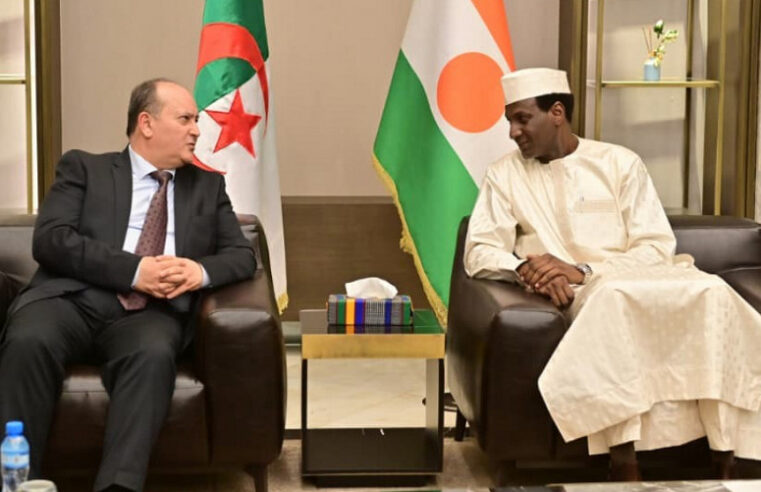 Algerie Niger : énergie et partenariat au cœur de la visite de si fi ghrieb à Niamey