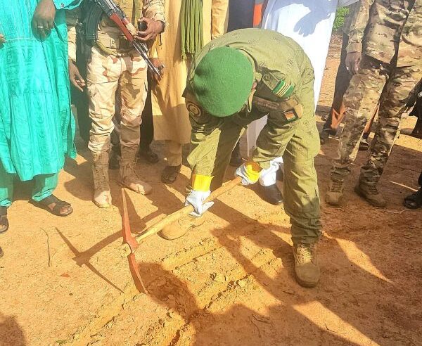 Restauration des terres pastorales : 500 hectares réhabilités à Gaya au Niger