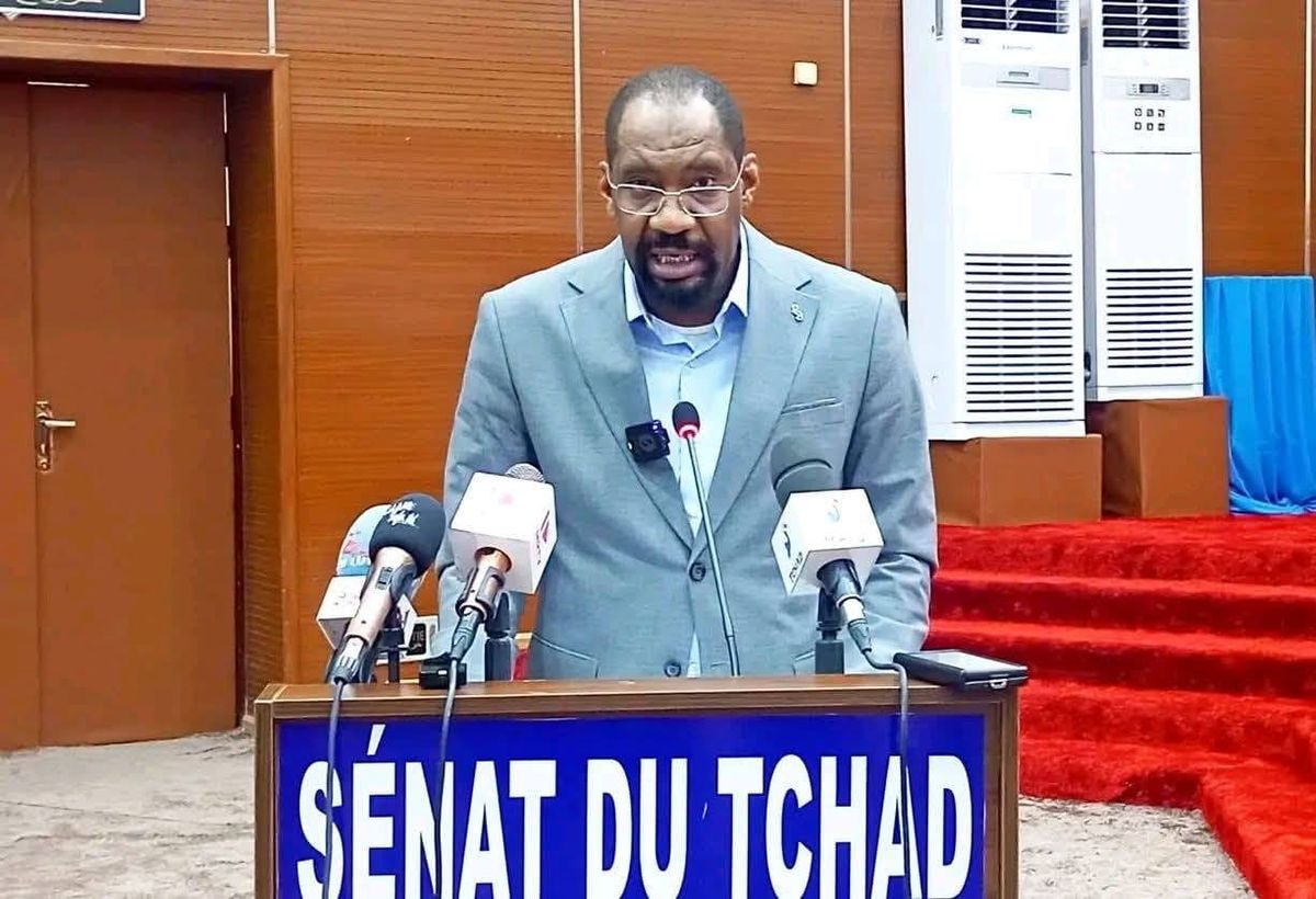 Le général Ali Ahmat Aghabache lors de son intervention devant les sénateurs