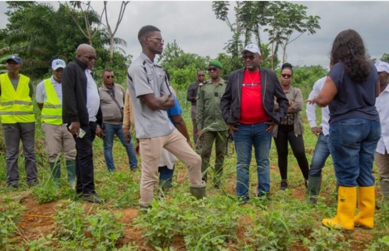 Recherche scientifique : le Gabon mise sur l&rsquo;innovation pour son indépendance alimentaire