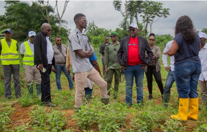 Recherche scientifique : le Gabon mise sur l&rsquo;innovation pour son indépendance alimentaire