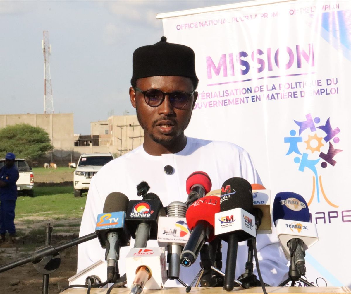 Insertion professionnelle : 200 jeunes tchadiens formés aux métiers verts à N&rsquo;Djamena