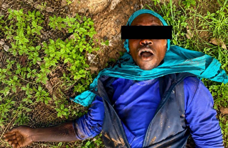 Bénin : l’armée béninoise décime six terroristes près de Kouandé