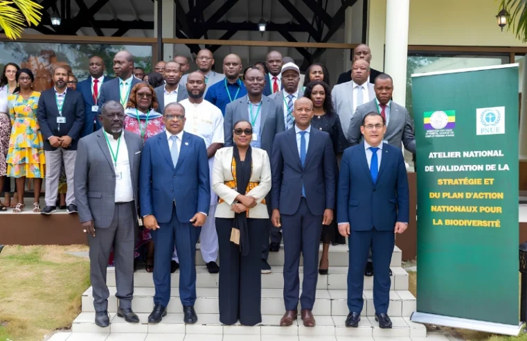 Gabon : une stratégie ambitieuse pour préserver 30 % de sa biodiversité d’ici 2030