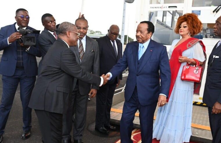 Pouvoir vacant au Cameroun : que dit la loi ?