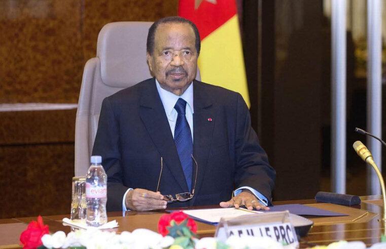 Soutien au président Paul Biya : les enjeux de la nomination du vice-président