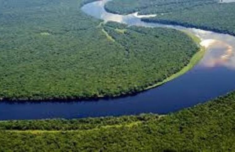 Le Tchad et la RDC s&rsquo;engagent à protéger le bassin du lac Tchad, mais à quel prix ?