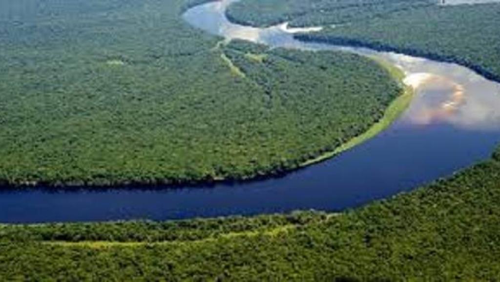 Le Tchad et la RDC s&rsquo;engagent à protéger le bassin du lac Tchad, mais à quel prix ?