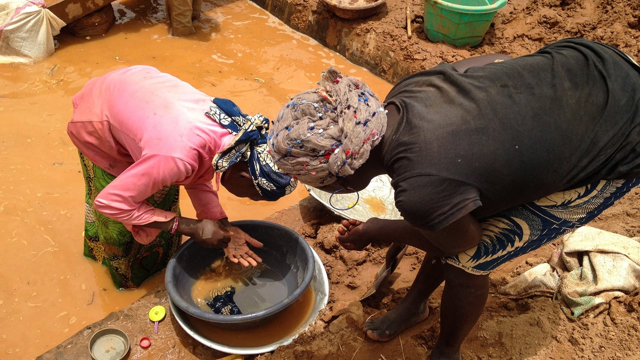L&rsquo;or du Cameroun : un trésor qui s&rsquo;évapore, des milliards perdus pour l&rsquo;État