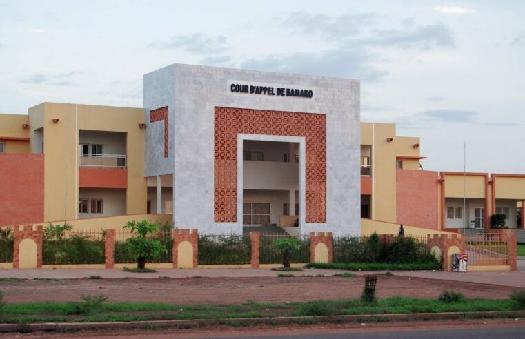 Mali : six proches de bah n&rsquo;daw jugés pour complot présumé