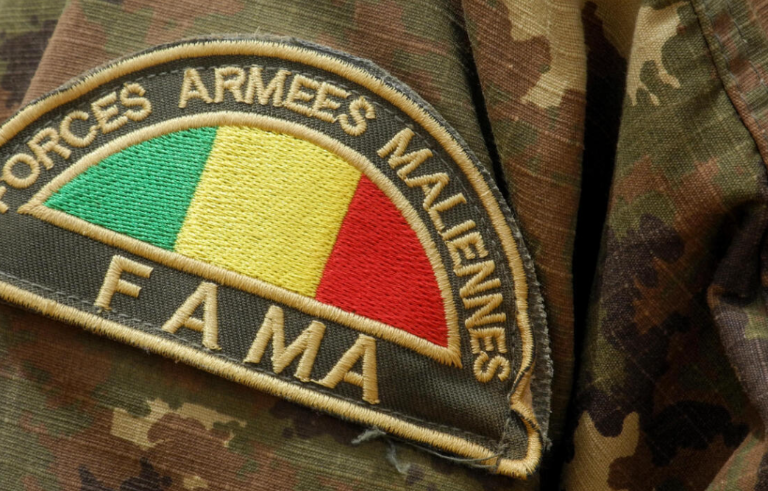 Mali : le JNIM frappe fort dans la région de Mopti, cinq ans après le coup d&rsquo;État