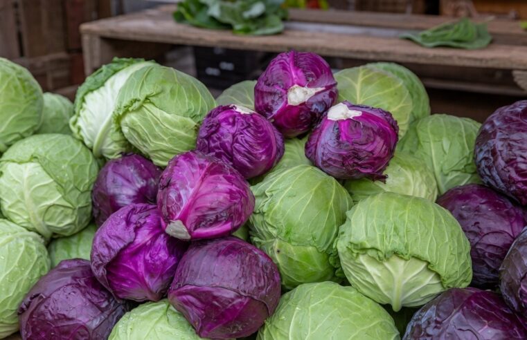 Niamey : quand l&rsquo;absence de stratégie agricole aggrave la crise des prix des légumes