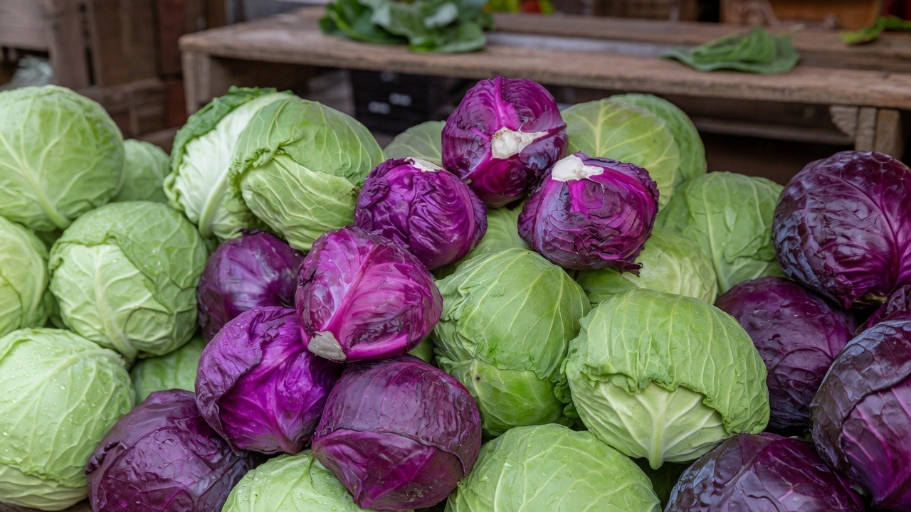 Niamey : quand l&rsquo;absence de stratégie agricole aggrave la crise des prix des légumes