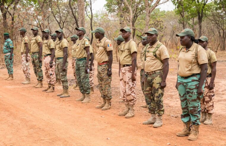 Interdiction des tenues militaires pour les agents des eaux et forêts au Tchad