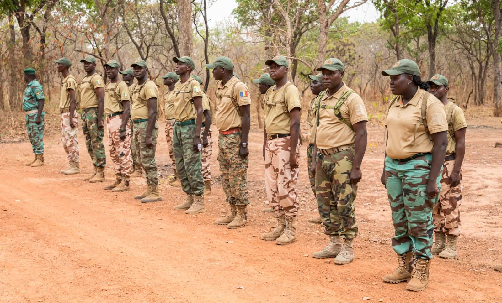Interdiction des tenues militaires pour les agents des eaux et forêts au Tchad