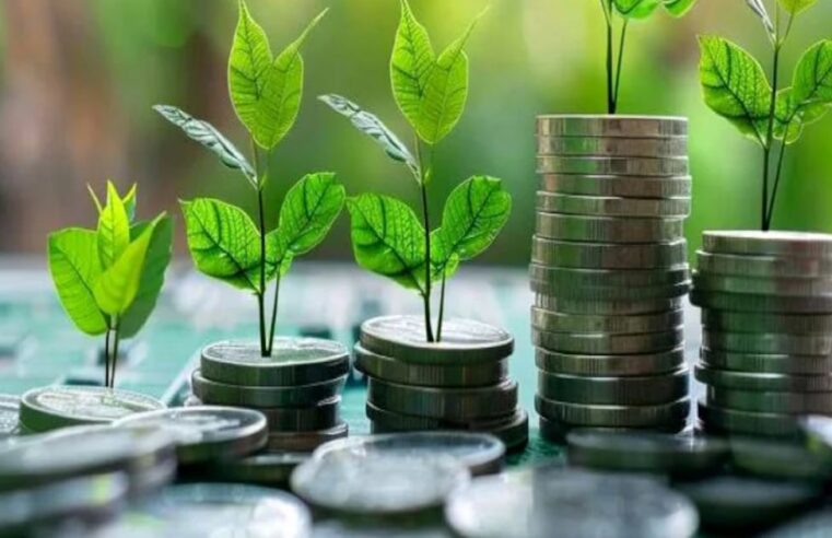Le Maroc dévoile sa taxonomie financière verte pour une économie décarbonée