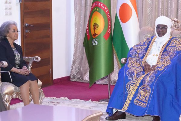 Niger : l&rsquo;unowas au centre des débats sur l&rsquo;avenir de la région Sahel