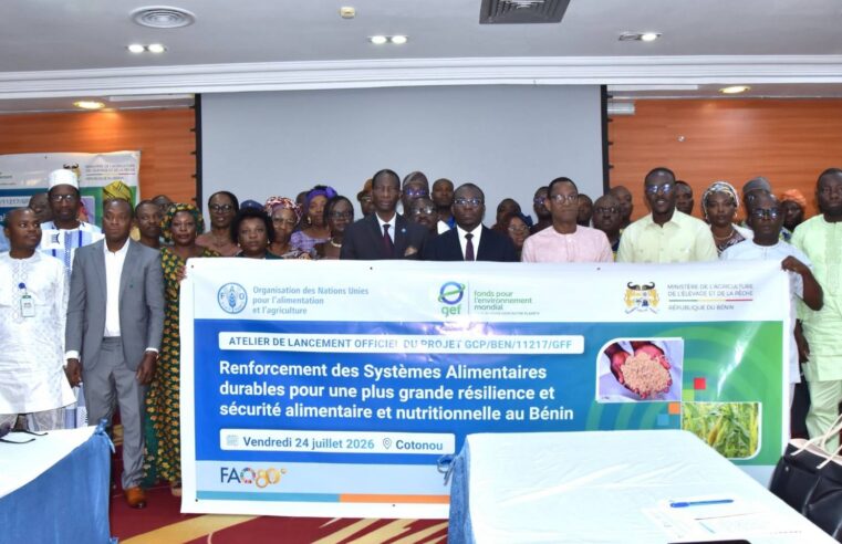 Riz et maïs au Bénin : Comment le projet « Food Systems » veut métamorphoser l&rsquo;agriculture nationale
