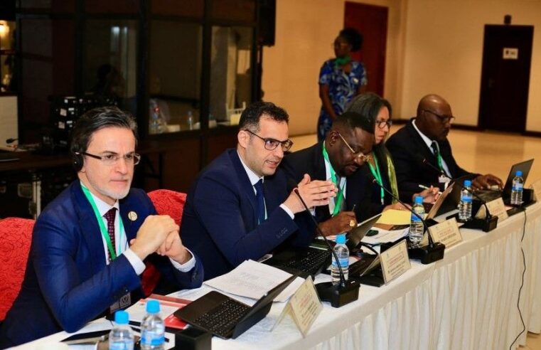 La gouvernance du Gabon face au regard de la communauté internationale