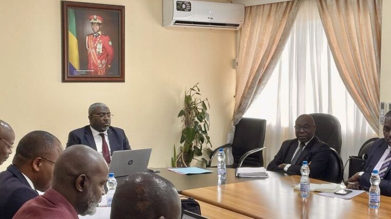 Renouvellement de l&rsquo;action publique au Gabon : un guide légistique pour moderniser l&rsquo;état