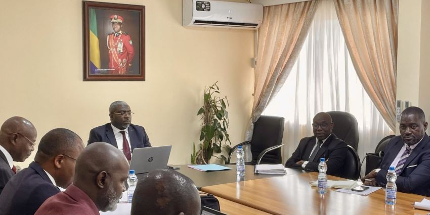 Renouvellement de l&rsquo;action publique au Gabon : un guide légistique pour moderniser l&rsquo;état
