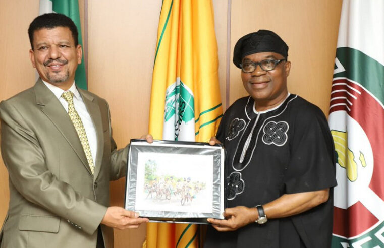 Abuja réaffirme son soutien au Sahara Occidental, l&rsquo;avenir du gazoduc Nigeria-Maroc en question