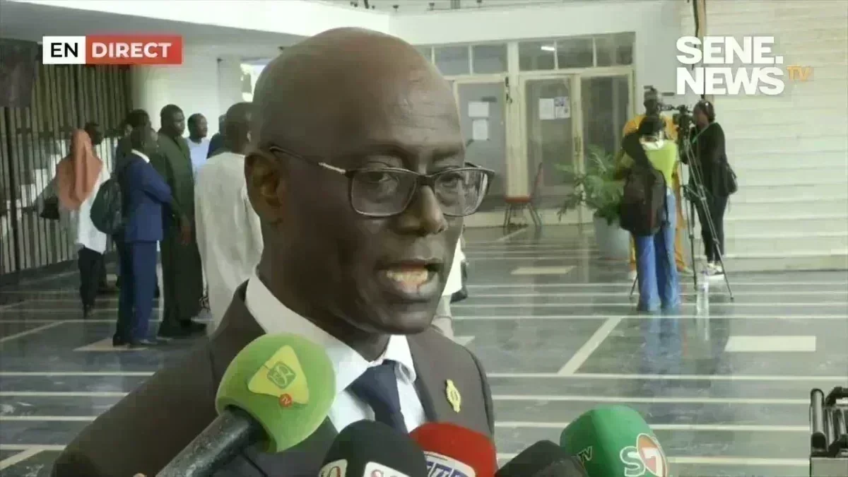 intervention parlementaire de Thierno Alassane Sall portrait de Thierno Alassane Sall lors d'une prise de parole en séance parlementaire